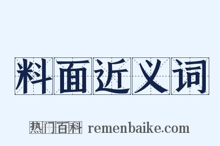 料面近义词是什么意思的图片